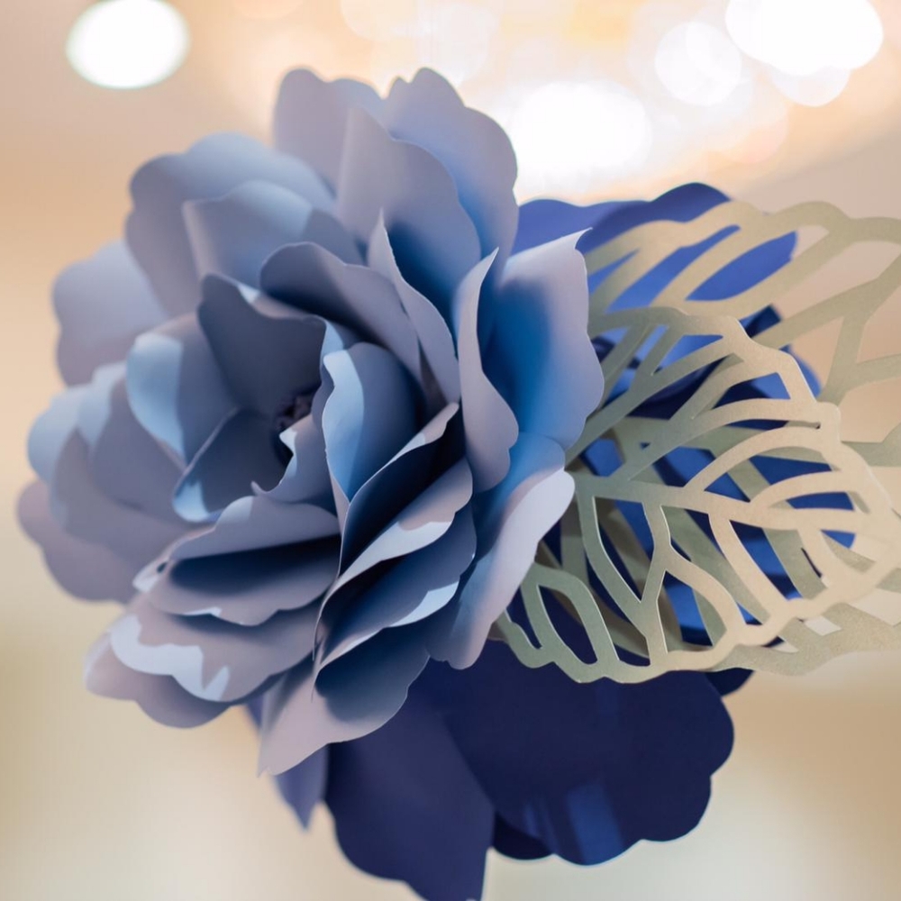 Meet your Posher, Alumah